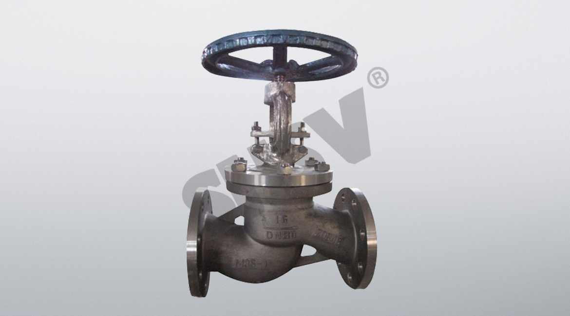 Zirconium globe valve