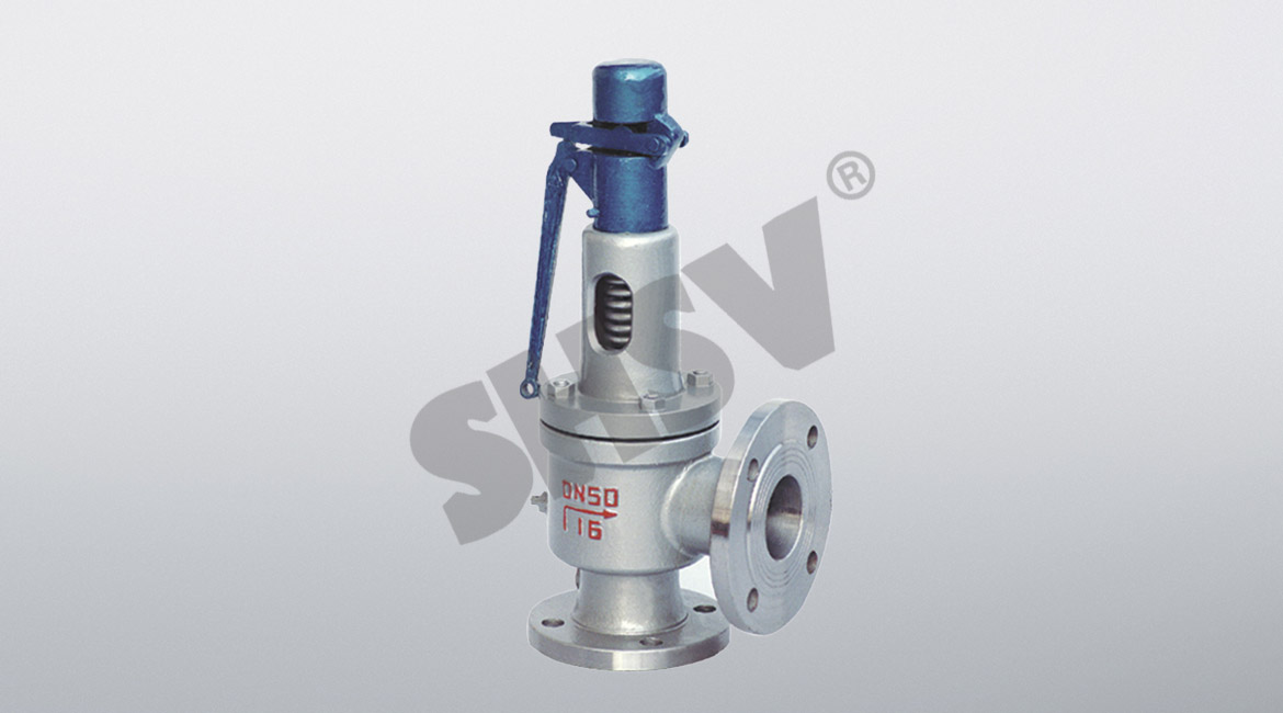 Boiler special safety valve