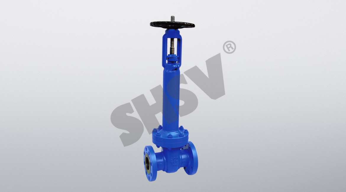New American standard bellows gate valve