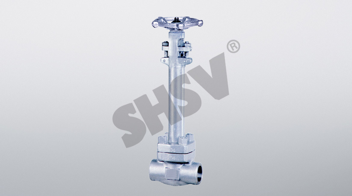 Stainless steel cryogenic valve