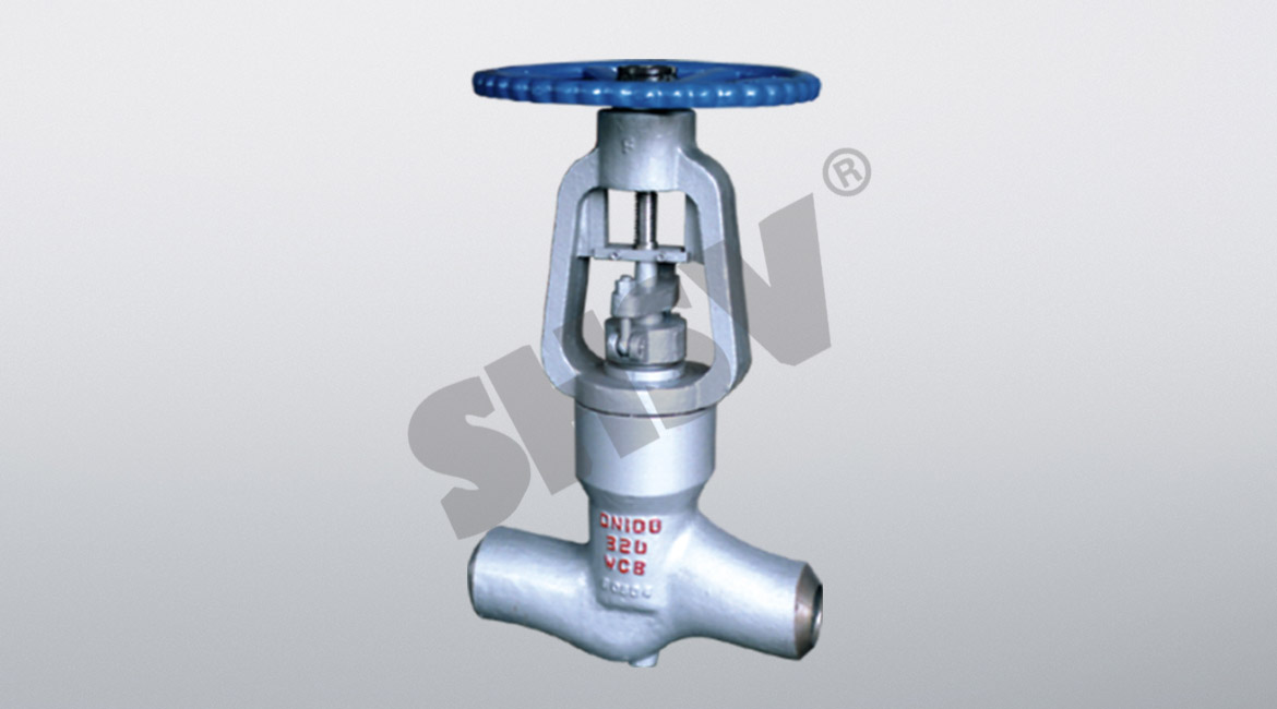 Power Station Globe Valve